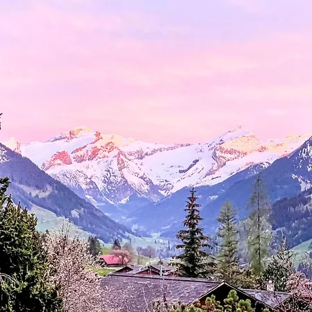 Rebhalde By Interhome Schönried